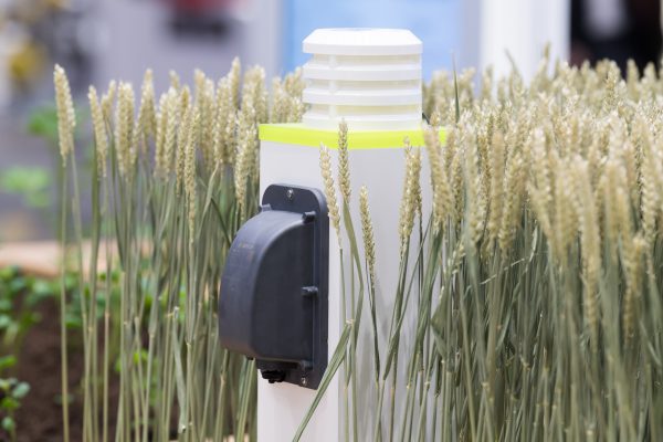 Bosch Deepfield Connect Temperatur und Luftfeuchtesensor Getreide